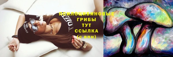 амф Вяземский
