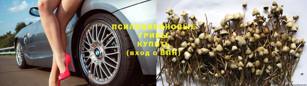 амф Вяземский